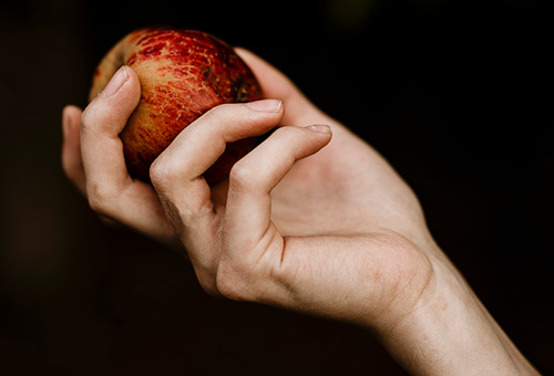 Questions à propos d'Adam et Eve