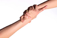 La nouvelle alliance