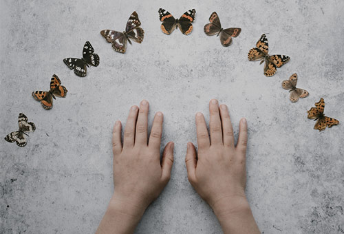 La formation qui entraine la transformation