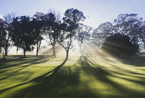 Pentecôte : une promesse