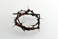 Jésus Roi des juifs