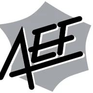 Alliance Evangélique Française (CNEF aujourd'hui)