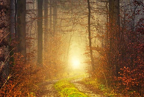 Quand Dieu ouvre un chemin